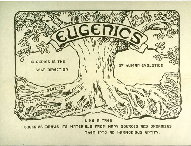 eugenics tree